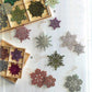 Roost Shimmering Snowflake Ornament Sets