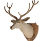 Driftwood Deer Head With Antlers- 4 ft x3 ft x 2 ft- Stag Trophy Head by Artisan Living | Trophy Head | Modishstore-5