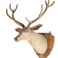 Driftwood Deer Head With Antlers- 4 ft x3 ft x 2 ft- Stag Trophy Head by Artisan Living | Trophy Head | Modishstore-