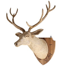 Driftwood Deer Head With Antlers- 4 ft x3 ft x 2 ft- Stag Trophy Head by Artisan Living