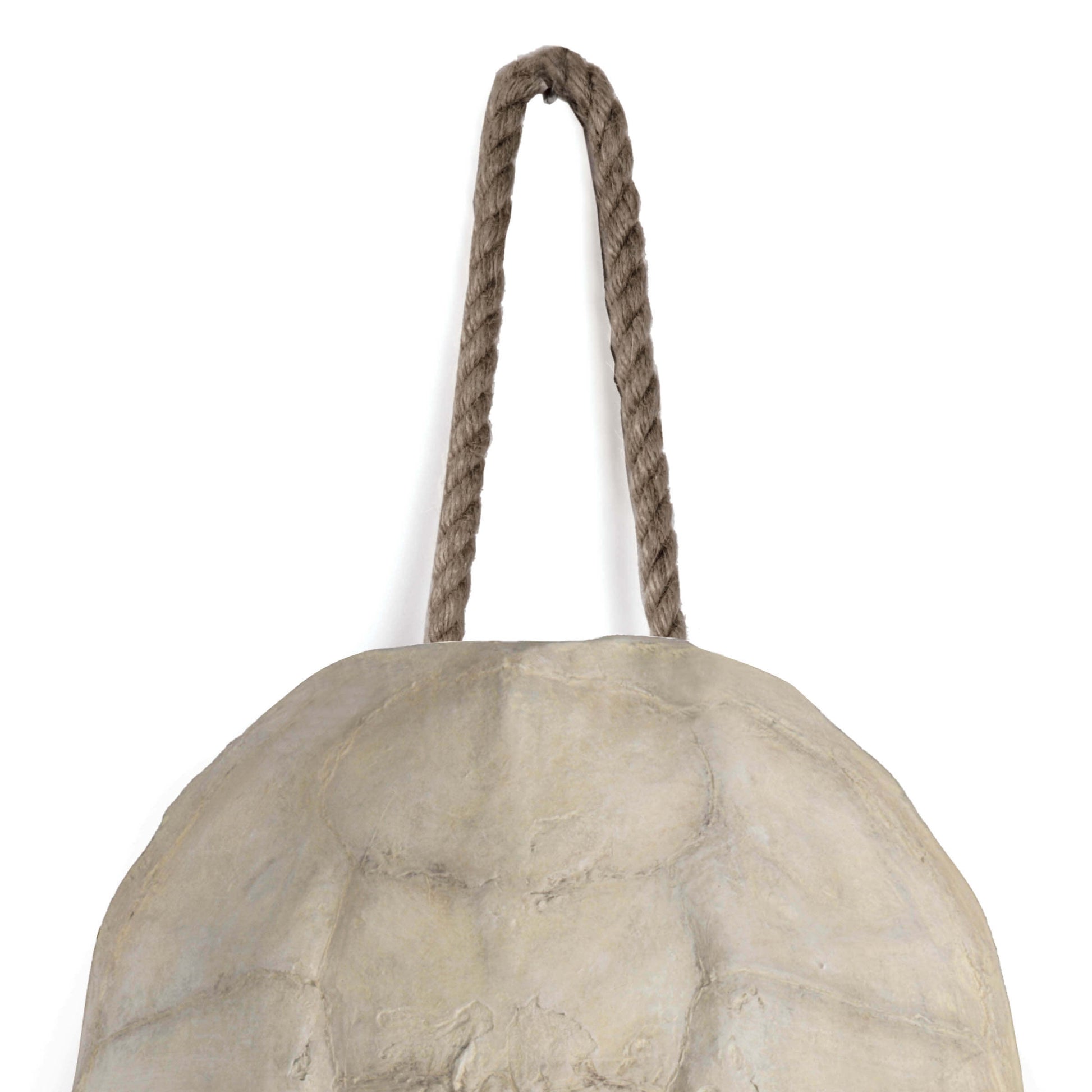 Turtle Shell Accessory Bleached By Regina Andrew | Sculptures | Modishstore - 3