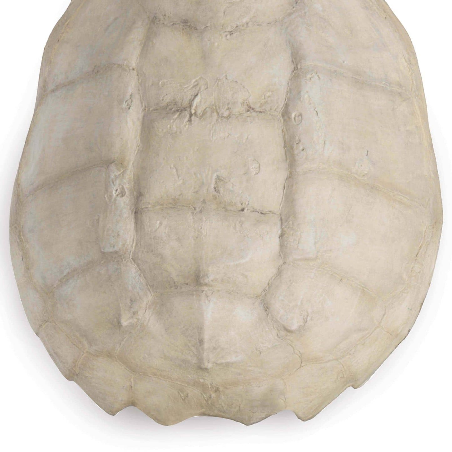 Turtle Shell Accessory Bleached By Regina Andrew | Sculptures | Modishstore - 4
