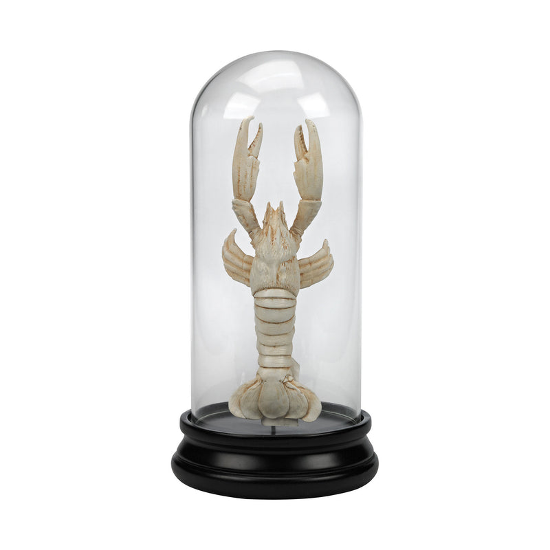 Guild Master Naturae Ancient Lobster Curio | Modishstore | Sculptures