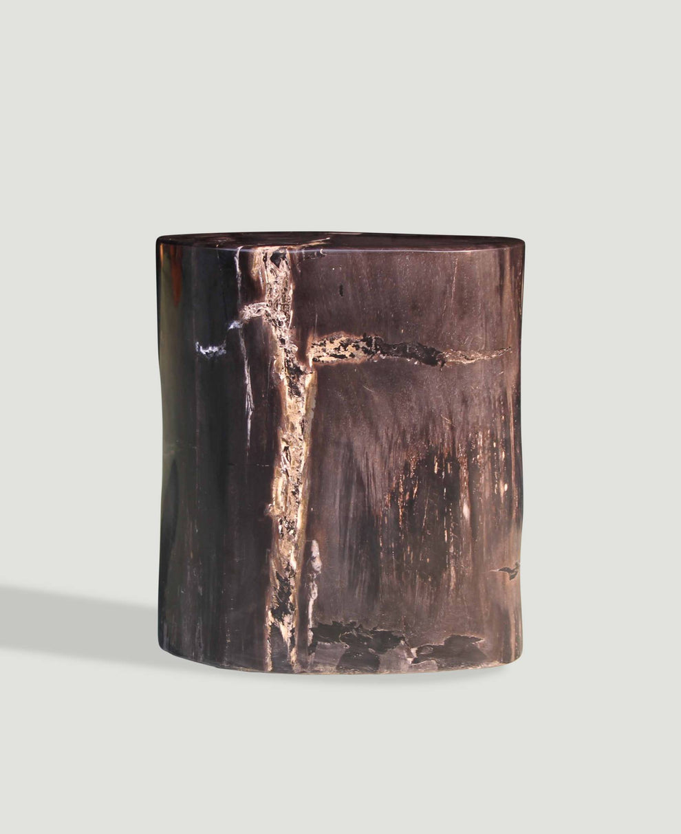 Petrified Wood Log Stool 15"x 8"x18"H - PFST0219/22-3