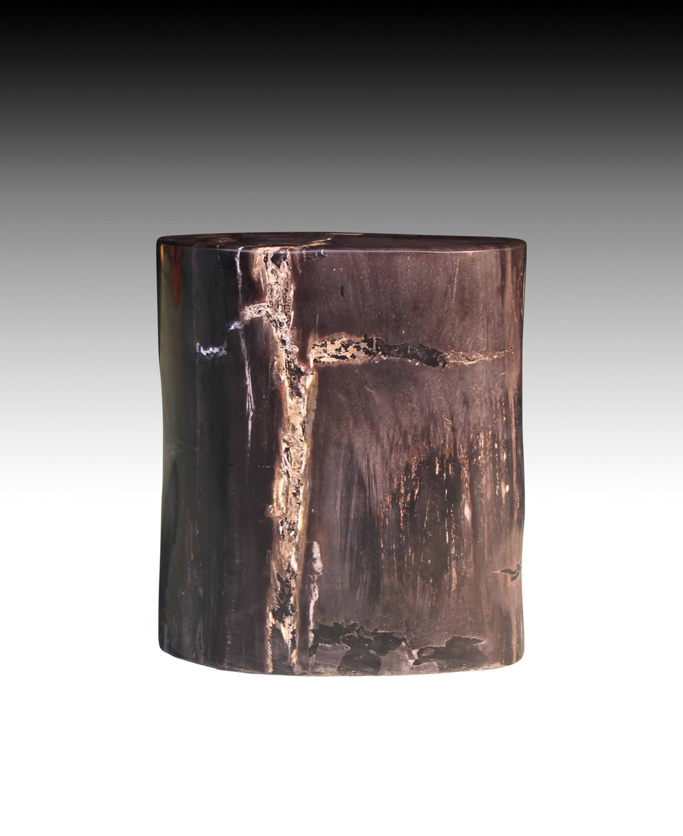 Petrified Wood Log Stool 15"x 8"x18"H - PFST0219/23-4