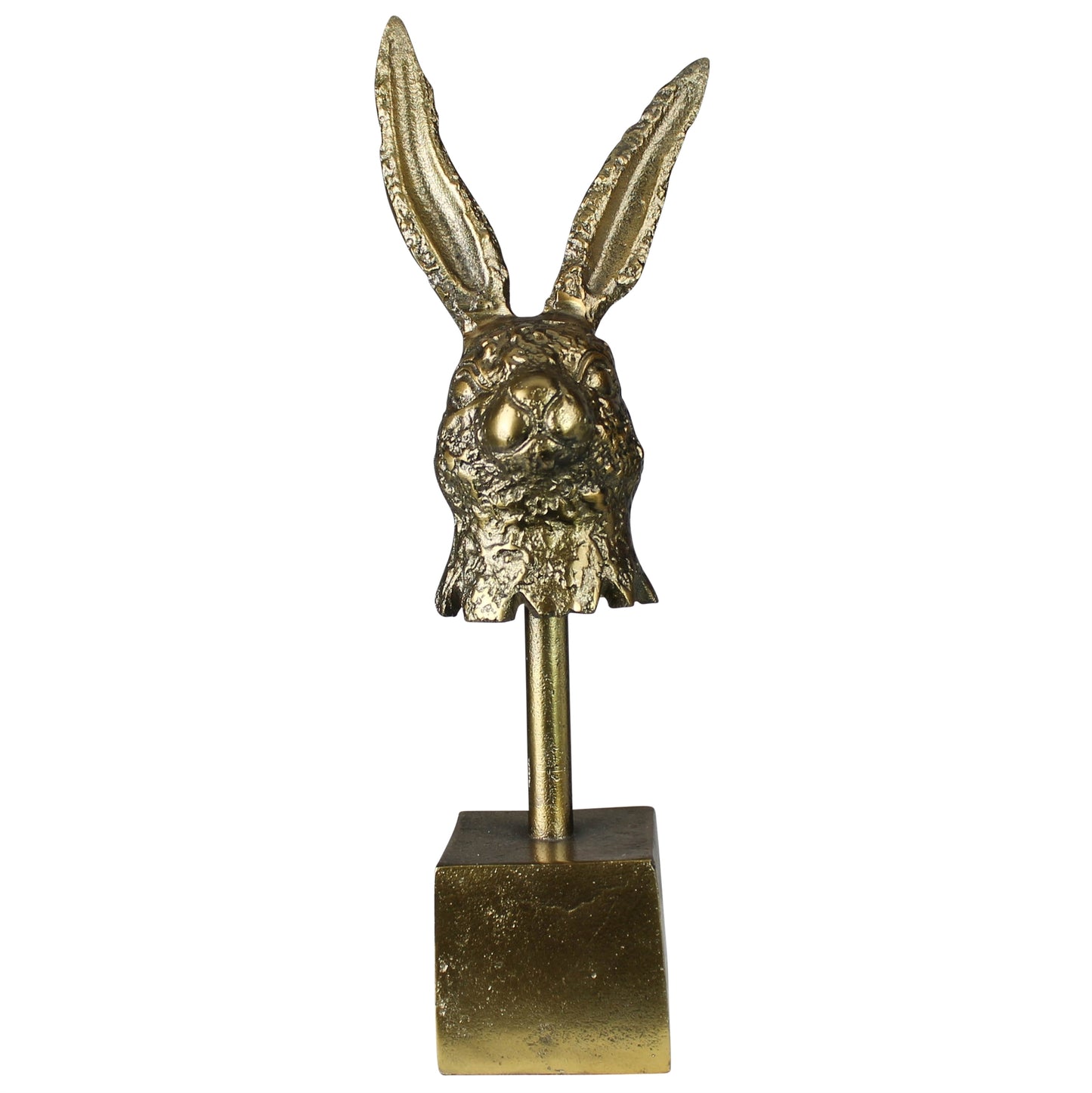 Hare Head, Brass-2