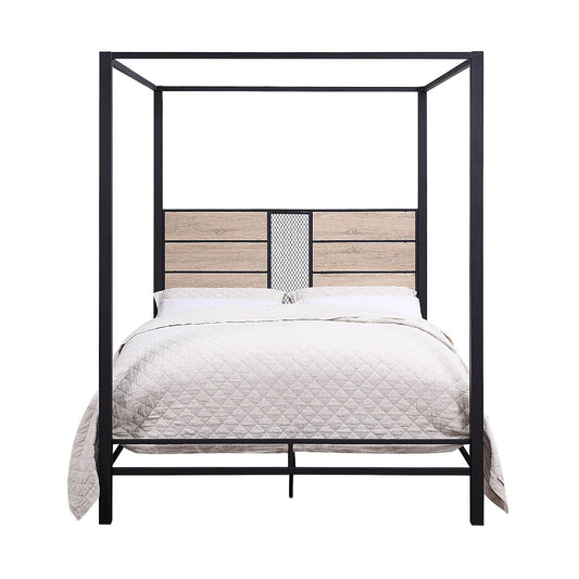 Baara Twin Bed By Acme Furniture | Beds | Modishstore