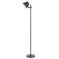 Vaduz Led 12W Metal Floor Lamp With Adjustable Head, 3000K, Bo2922Fldb By Cal Lighting | Floor Lamps | Moidshstore - 3
