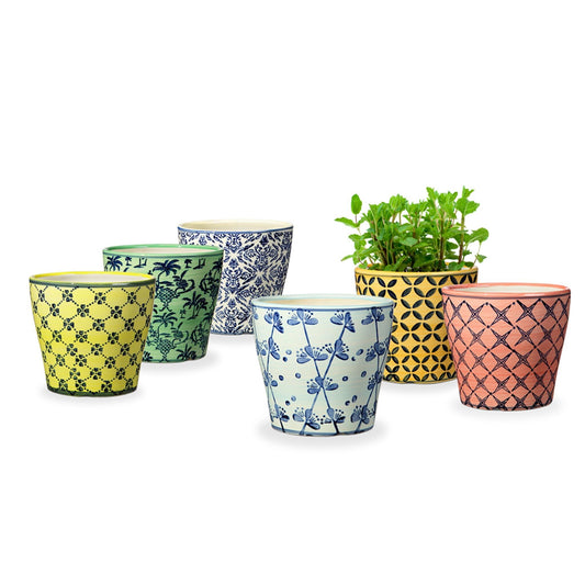 Pretty Pot Varietals S/6 By SPI Home | Planters, Troughs & Cachepots | Modishstore