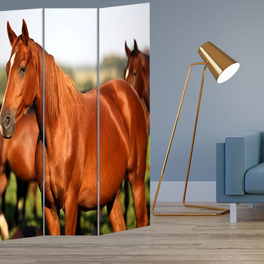 Multi Color Wood Canvas Horse Screen By Homeroots | Room Dividers | Modishstore - 2