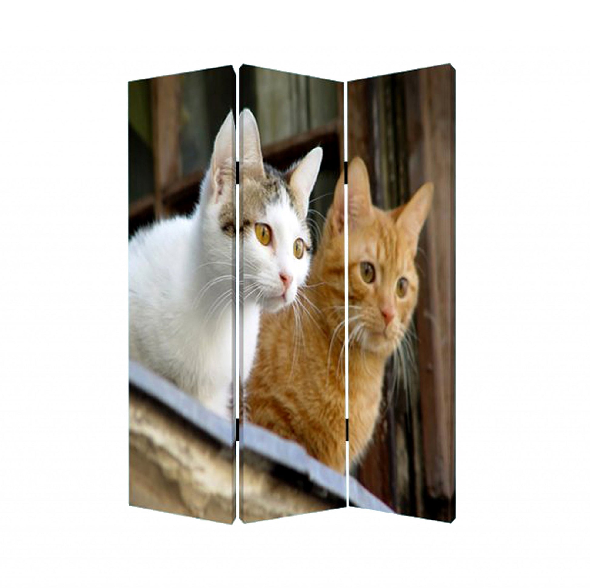 Multi Color Wood Canvas Curious Cat Screen By Homeroots | Room Dividers | Modishstore - 2