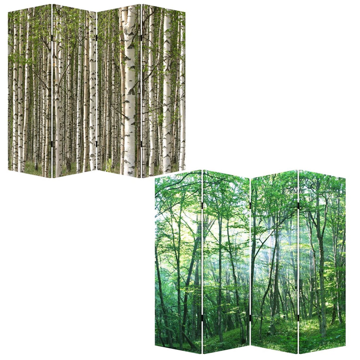 Multi Color Wood Canvas Prolific Forrest Screen By Homeroots | Room Dividers | Modishstore - 3