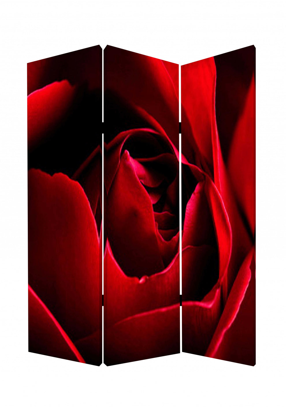 Multi Color Wood Canvas Rose Screen By Homeroots | Room Dividers | Modishstore - 2
