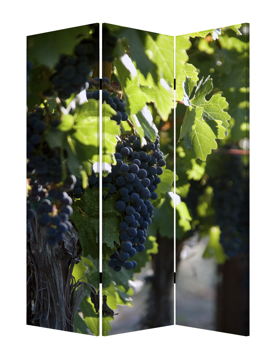 Multi Color Wood Canvas Wine Country Screen By Homeroots | Room Dividers | Modishstore - 2
