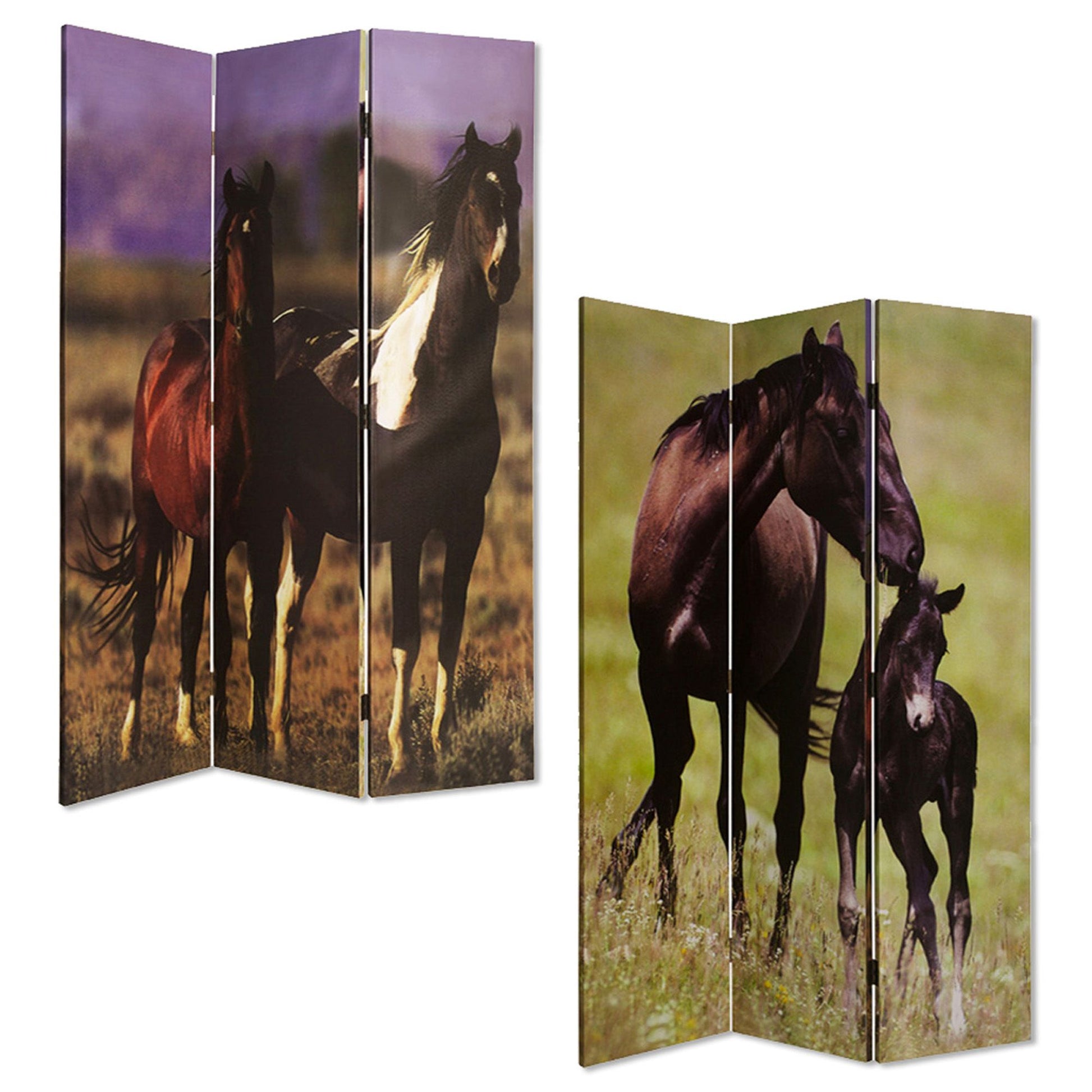 Multi Color Canvas Screen With Nurturing Mare By Homeroots | Room Dividers | Modishstore - 3
