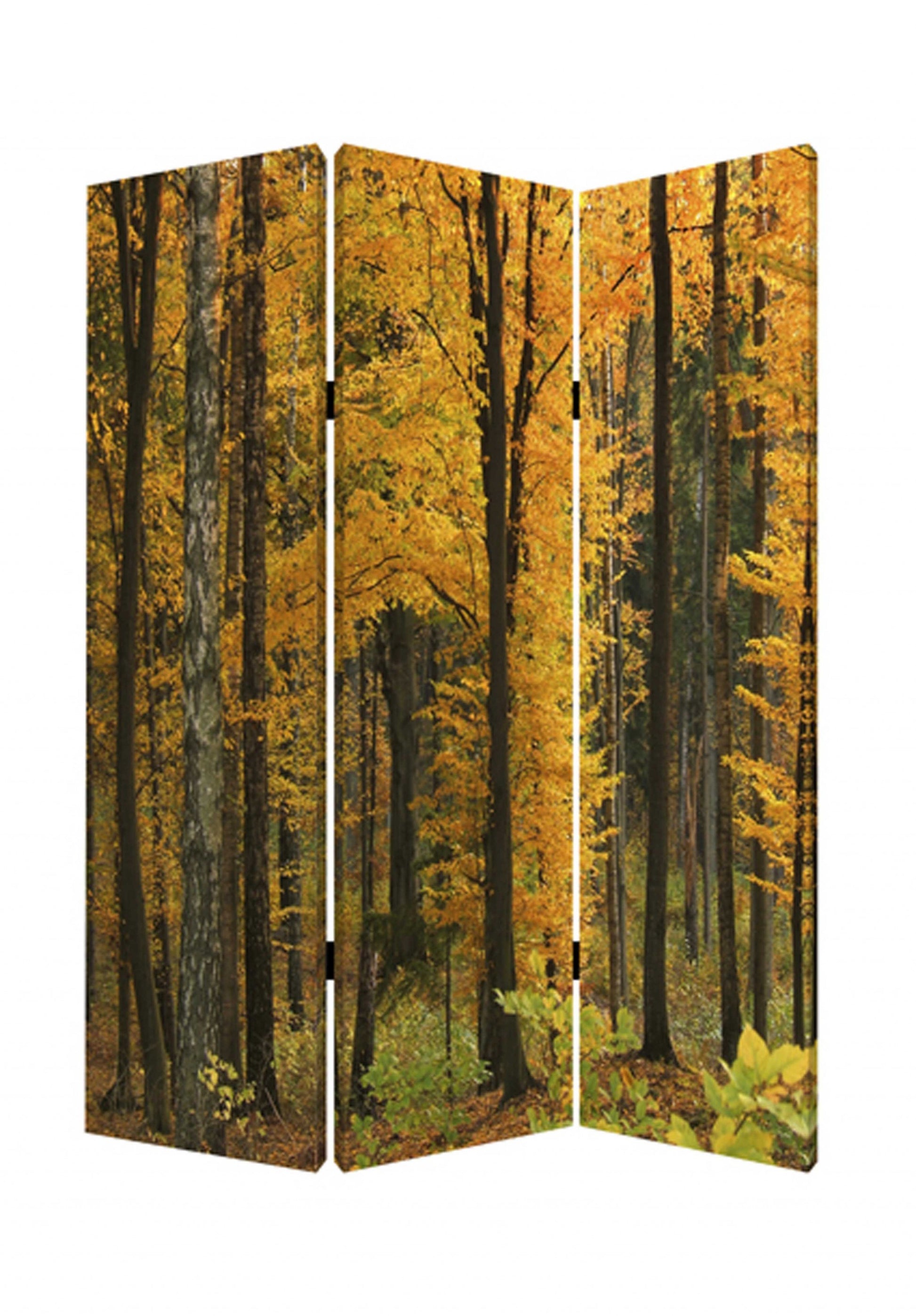 Multi Color Wood Canvas Autumn Journey Screen By Homeroots | Room Dividers | Modishstore