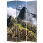 Multi Color Wood Canvas Machu Picchu Screen By Homeroots | Room Dividers | Modishstore