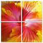 24" Multicolor Canvas 4 Panels Hibiscus Photo By Homeroots | Sculptures | Modishstore - 3