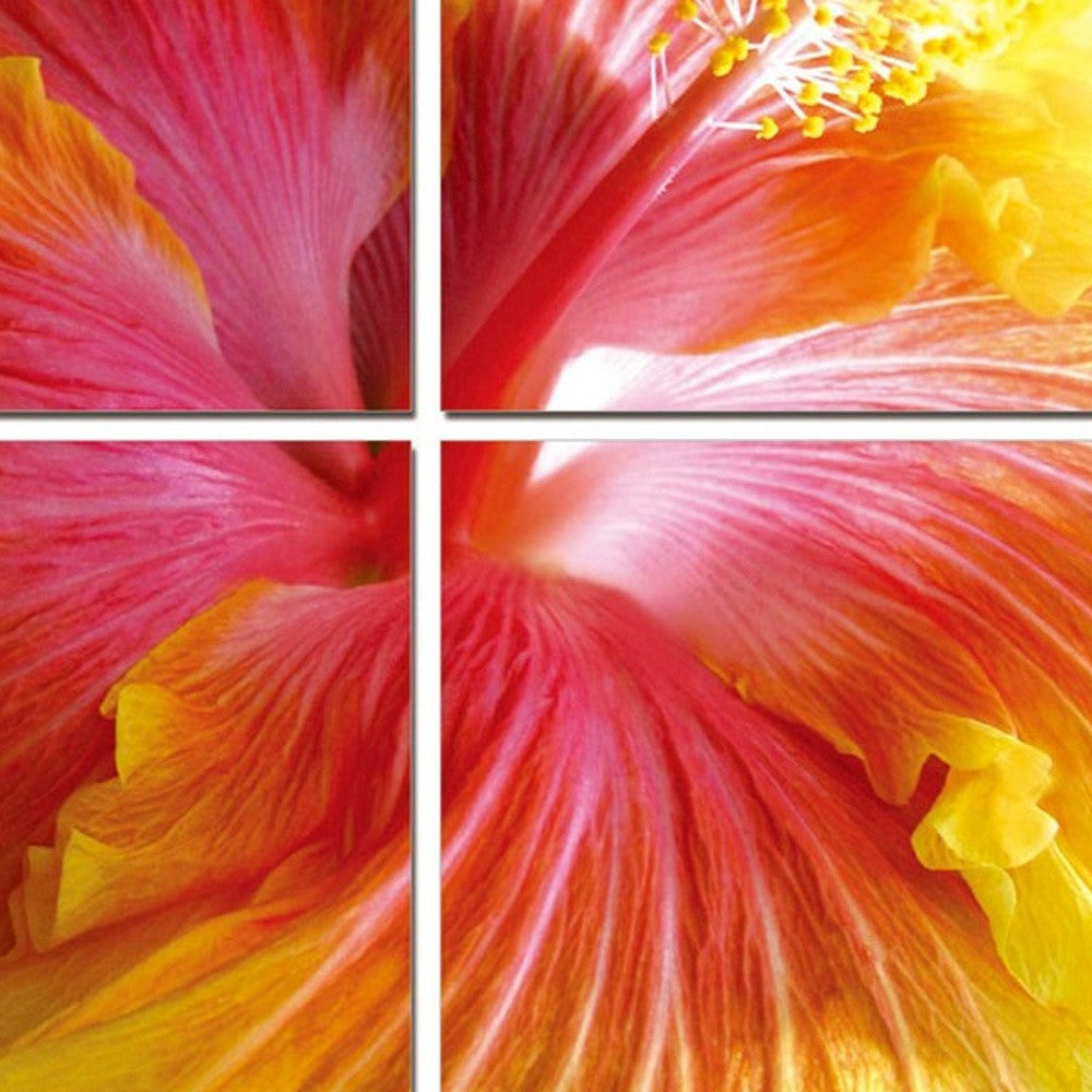 24" Multicolor Canvas 4 Panels Hibiscus Photo By Homeroots | Sculptures | Modishstore - 4