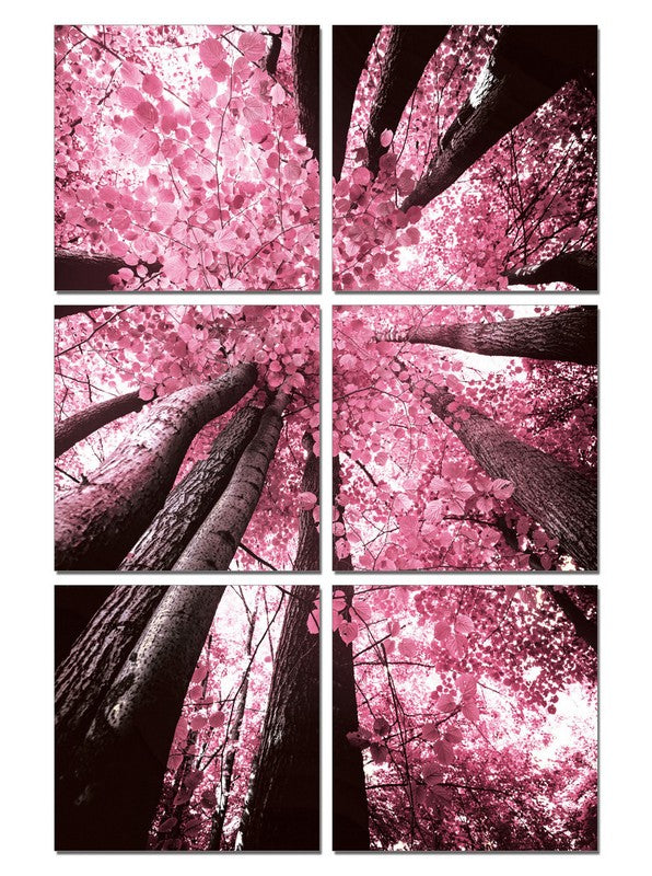 24" Canvas 6 Panels Blossom Trees Color Photo By Homeroots | Sculptures | Modishstore