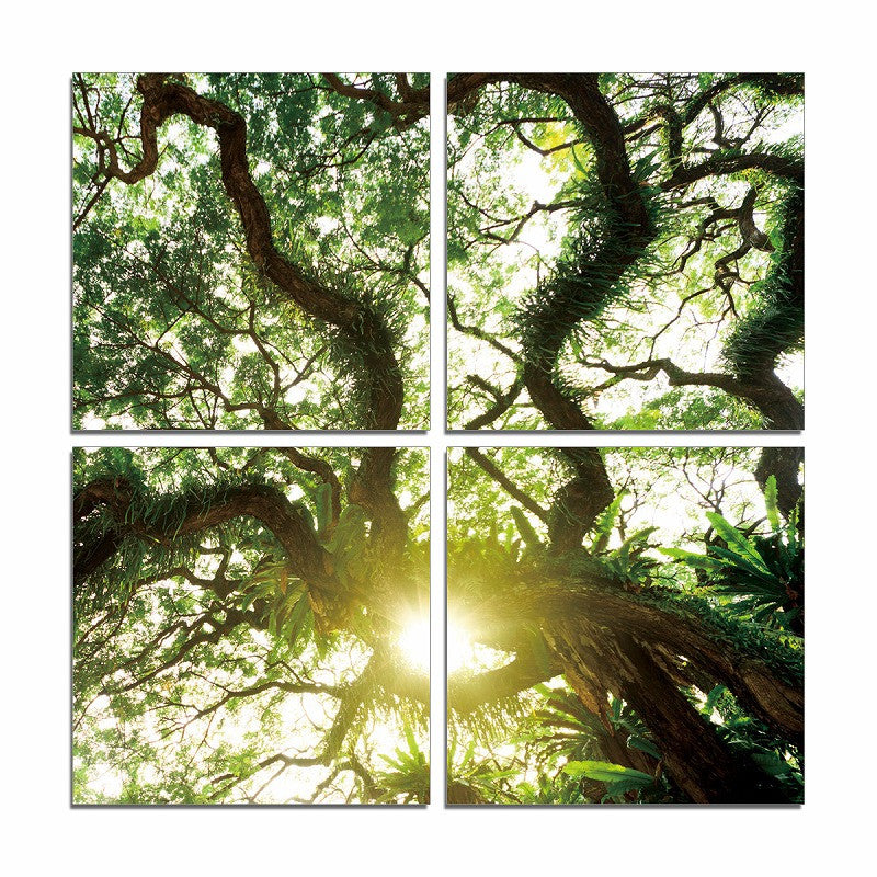 24" Canvas 4 Panels Color Photo By Homeroots | Wall Decor | Modishstore - 3