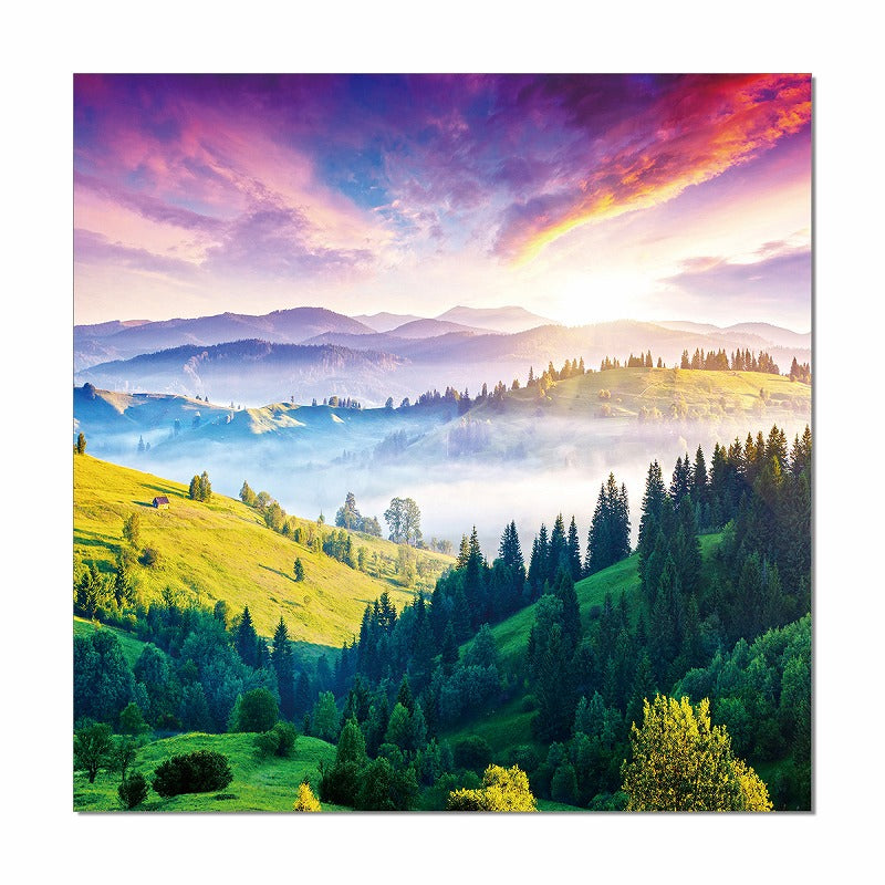 47" Canvas Color Glory Photo By Homeroots | Wall Decor | Modishstore