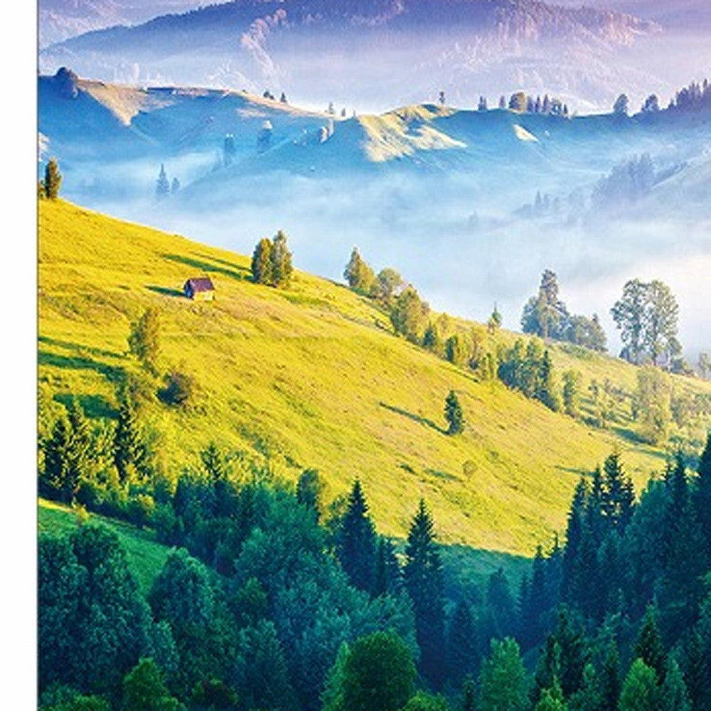 47" Canvas Color Glory Photo By Homeroots | Wall Decor | Modishstore - 5