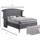 Gray Velvet Queen Bed By Homeroots | Beds | Modishstore - 4