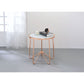 Frosted Glass And Rose Gold End Table By Homeroots | End Tables | Modishstore