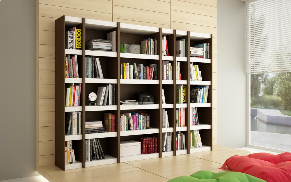 Accentuations by Manhattan Comfort Valuable Parana Bookcase 1.0 with 5 Shelves | Bookcases | Modishstore-2