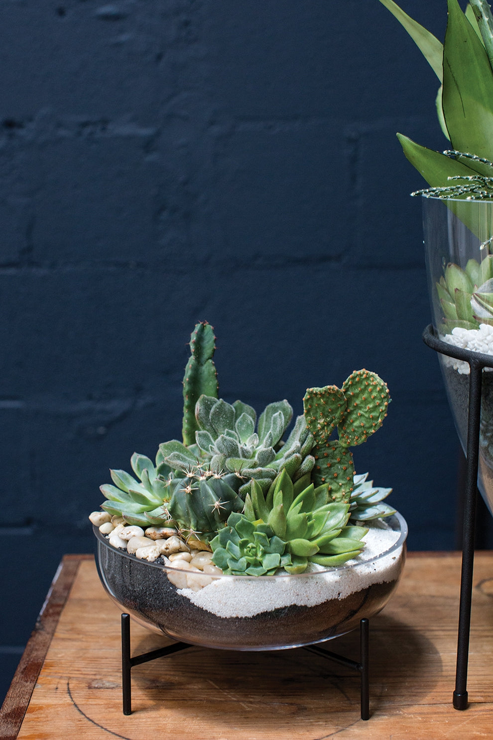 Central Bowl Set Of 4 By Accent Decor | Planters, Troughs & Cachepots | Modishstore - 1