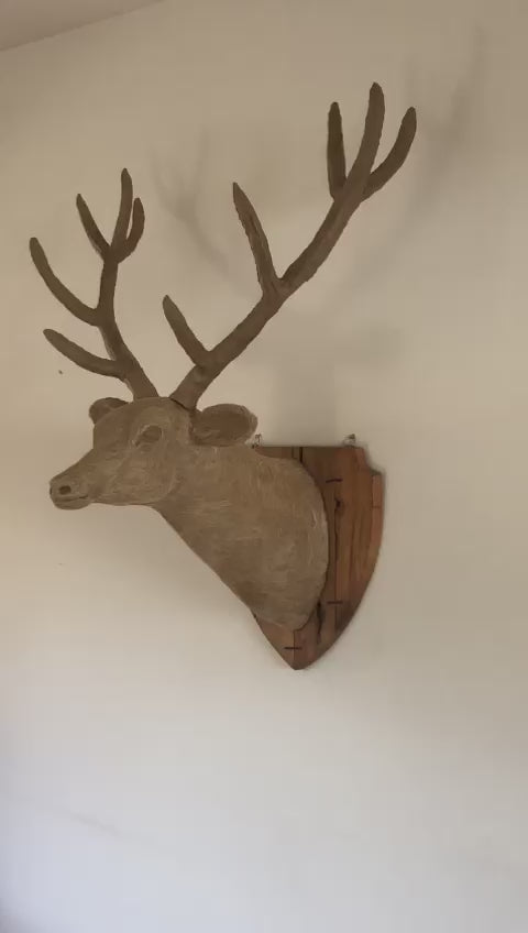 Driftwood Deer Head With Antlers- 4 ft x3 ft x 2 ft- Stag Trophy