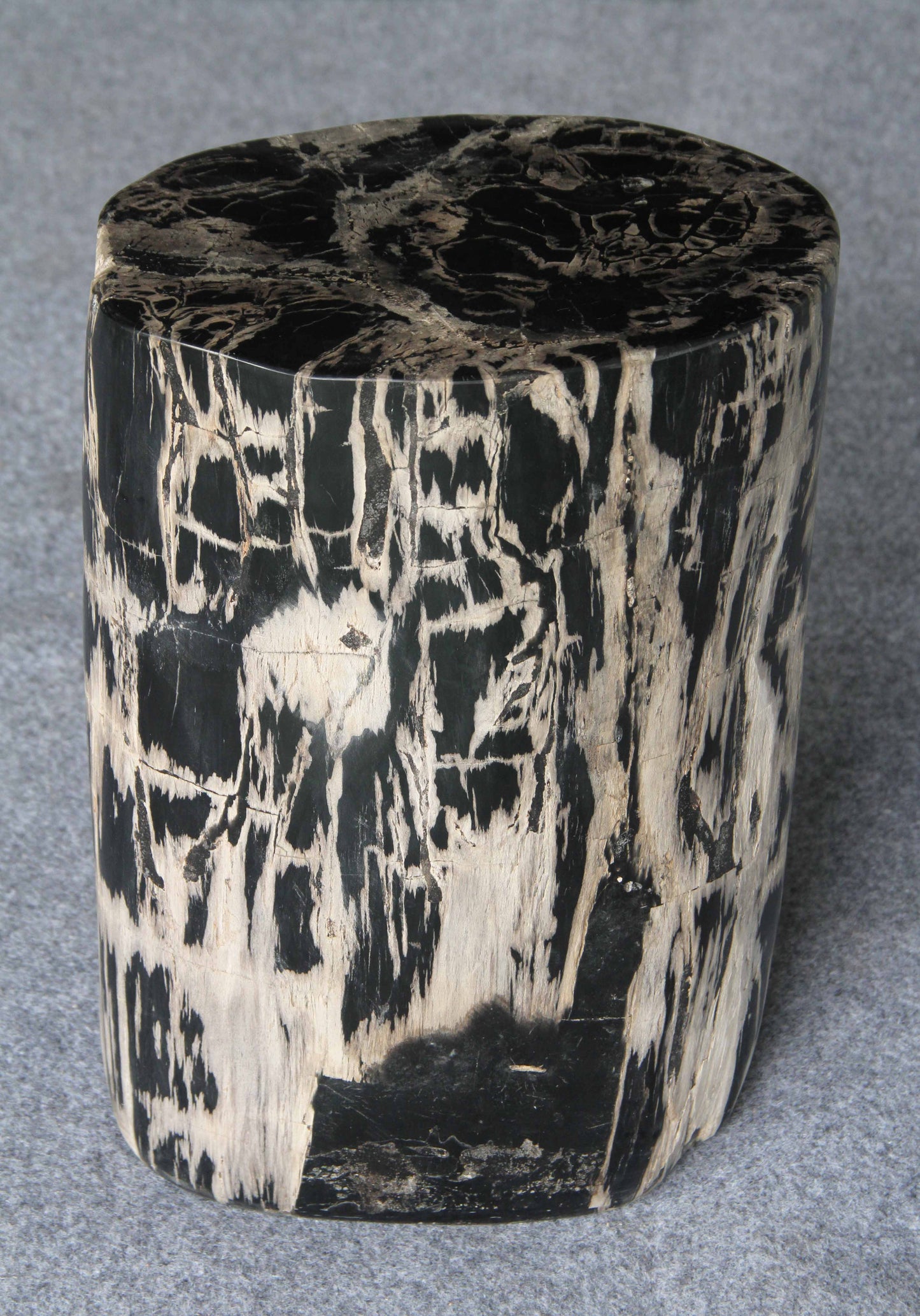 Petrified Wood Log Stool 10"x9"x16"H -PFST0334/24-5