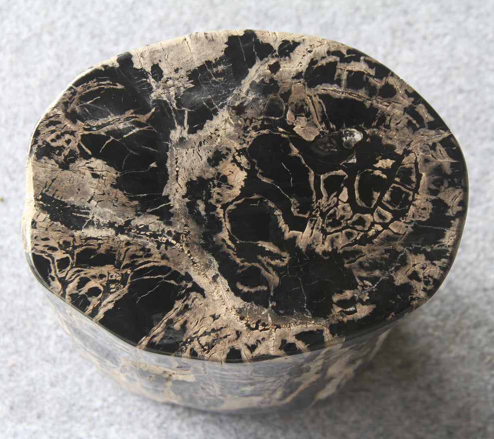 Petrified Wood Log Stool 10"x9"x16"H -PFST0334/25-6