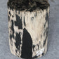 Petrified Wood Log Stool 10"x9"x16"H -PFST0334/22-3