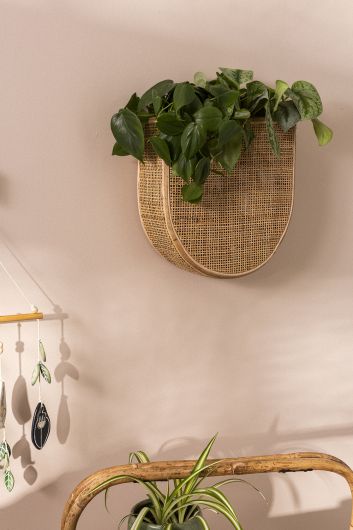 wicker wall hanging planter Huxley Woven Cane & Rattan Wall Planter By Accent Decor- 2 Shapes