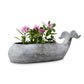 Whale Planter By SPI Home | Outdoor Planters, Troughs & Cachepots | Modishstore-5