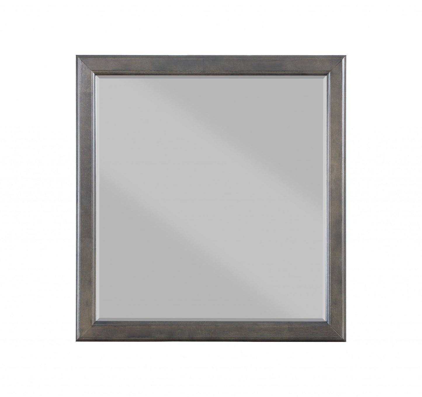 38" Rectangle Wall Mounted Accent Mirror By Homeroots - 347120 | Mirrors | Modishstore - 2
