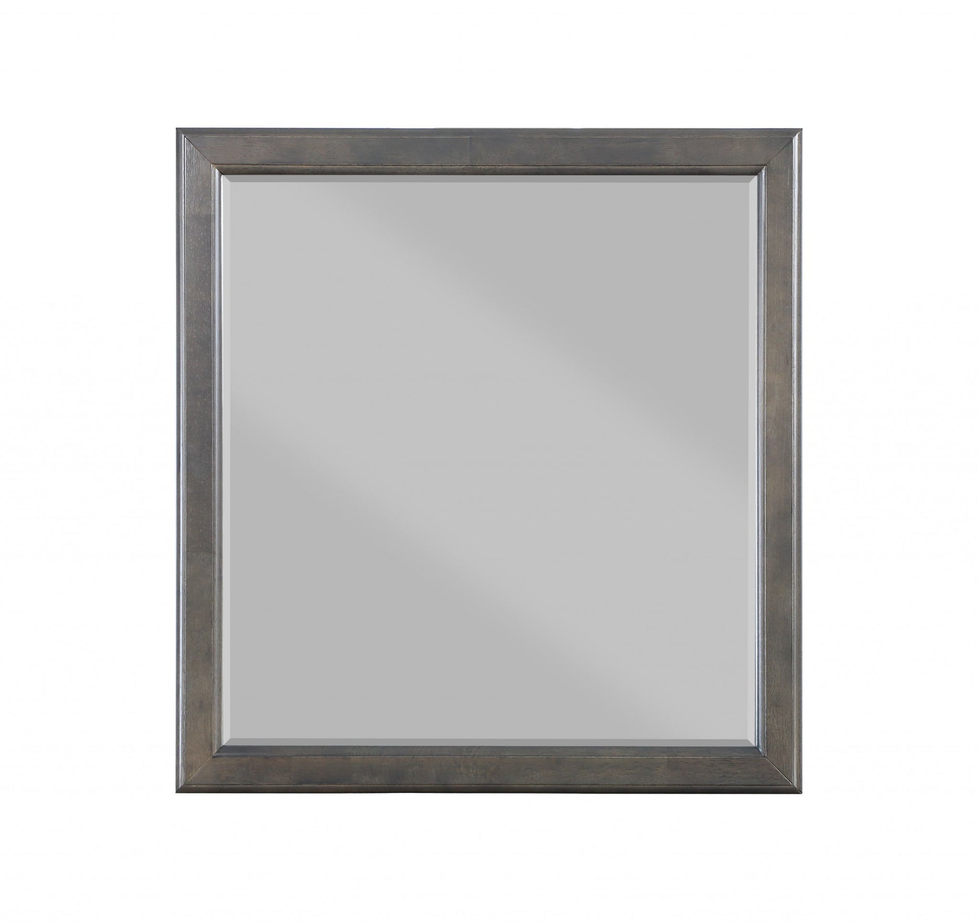 38" Rectangle Wall Mounted Accent Mirror By Homeroots - 347120 | Mirrors | Modishstore - 2