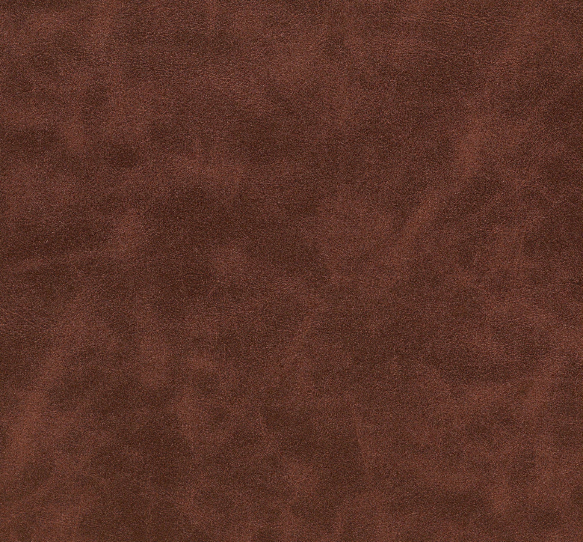 Brown PU Upholstery Metal Leg Accent Chair By Homeroots | Accent Chairs | Modishstore - 3