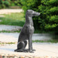 Loyal Greyhound Sculpture By SPI Home | Garden Sculptures & Statues | Modishstore