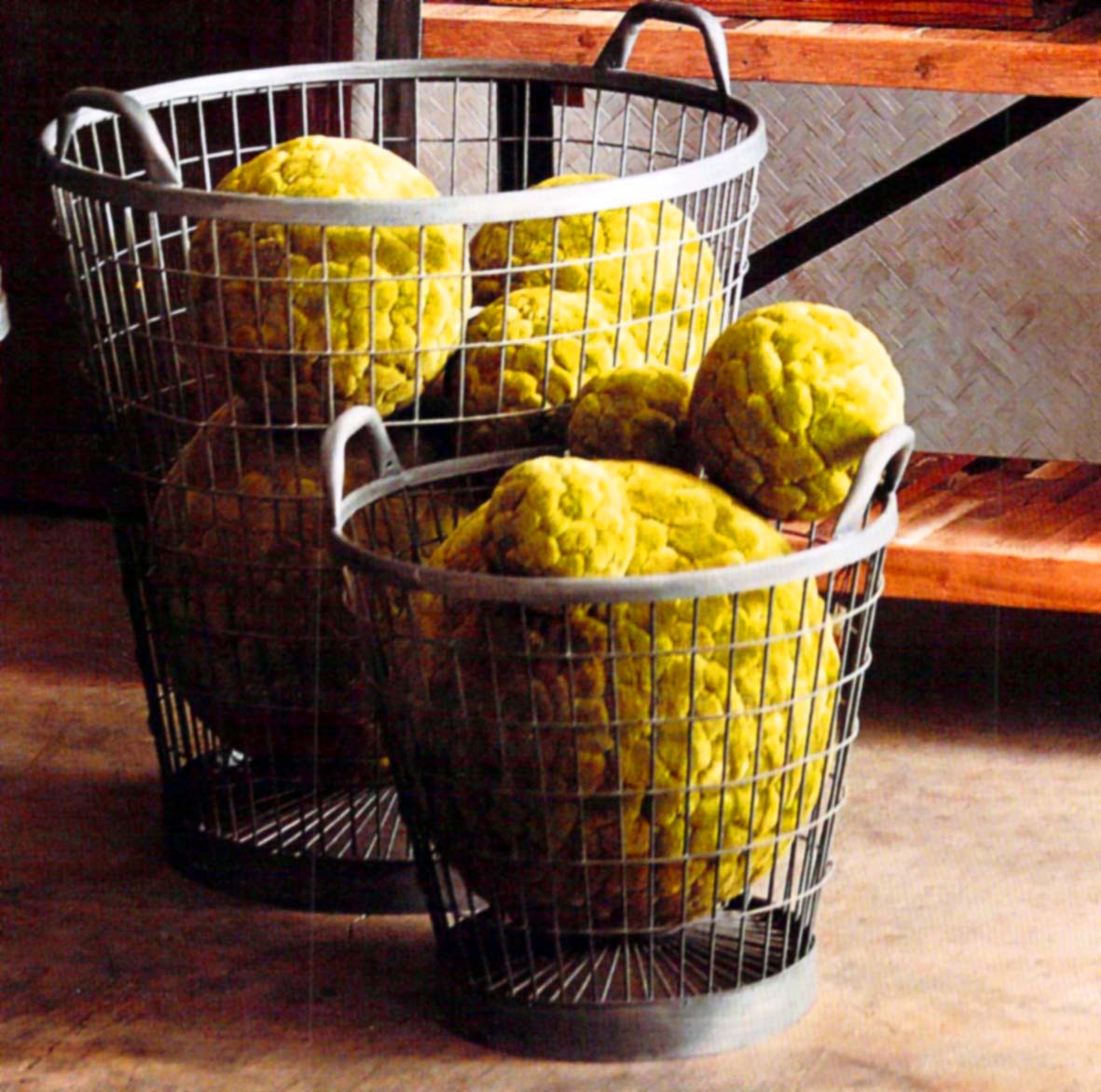 Velvet Green Cattail Decorative Balls | Home Accents | Modishstore-6