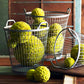 Velvet Green Cattail Decorative Balls | Home Accents | Modishstore-