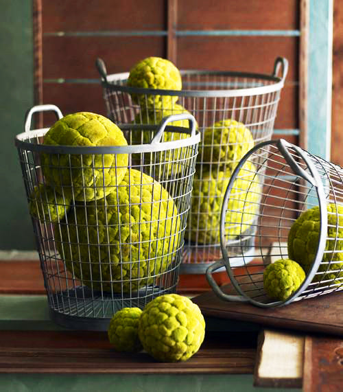 Velvet Green Cattail Decorative Balls | Home Accents | Modishstore-