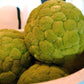 Velvet Green Cattail Decorative Balls | Home Accents | Modishstore-2