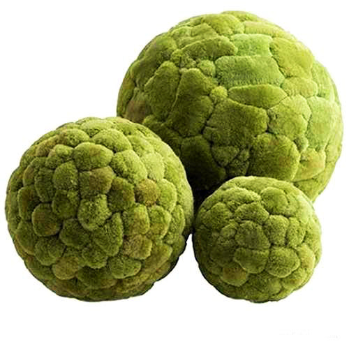 Velvet Green Cattail Decorative Balls | Home Accents | Modishstore-3