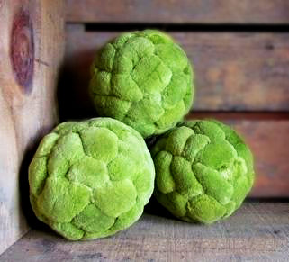 Velvet Green Cattail Decorative Balls | Home Accents | Modishstore-5