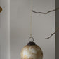 Wonderous Ornament Set Of 8 By Accent Decor | Ornaments | Modishstore