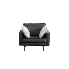 Theo Gray Velvet Chair with Pillows By Lilola Home