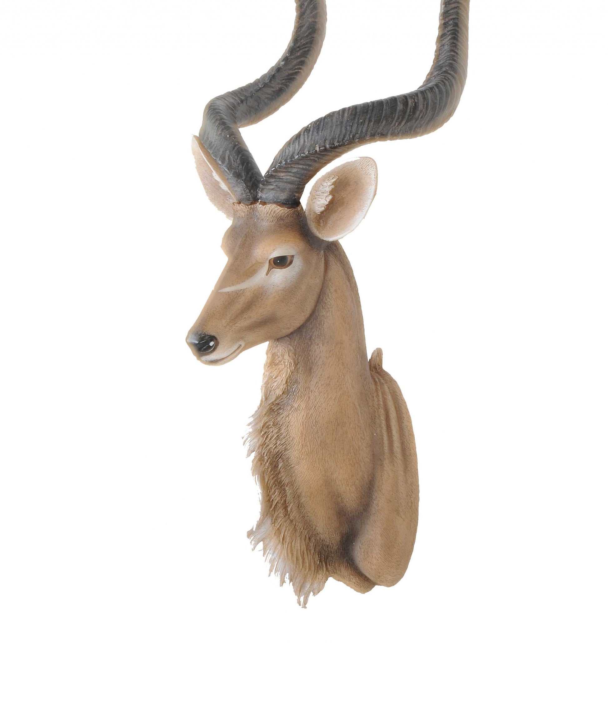 Antelope Head Wall Decorative By Homeroots | Animals & Pets | Modishstore